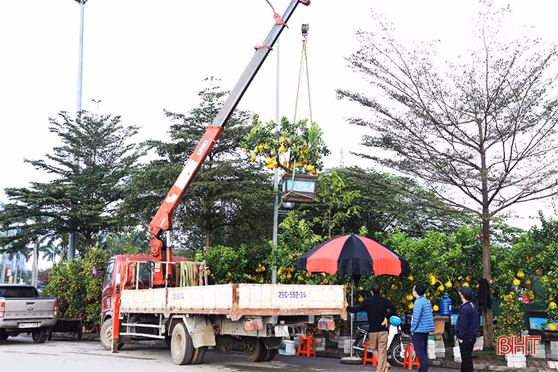 Nghề “chở tết về nhà” tại Hà Tĩnh kiếm tiền triệu mỗi ngày