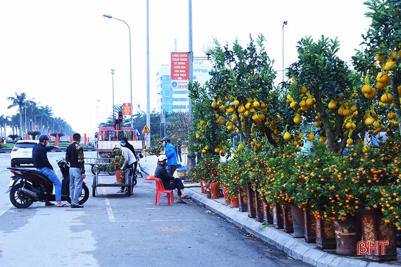 Nghề “chở tết về nhà” tại Hà Tĩnh kiếm tiền triệu mỗi ngày