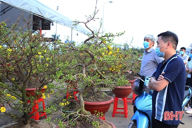 Thị trường Hà Tĩnh ngày giáp tết: Hàng hóa đủ chủng loại, sức mua tăng dần