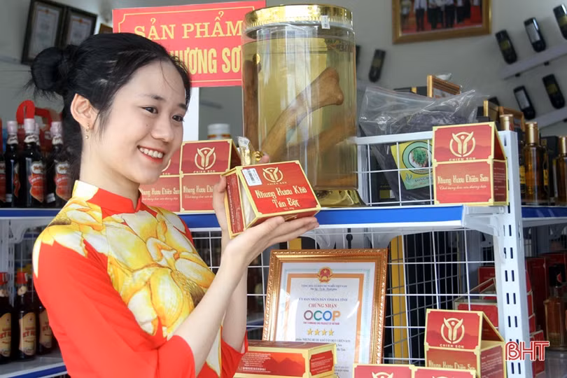 Hương Sơn non nước hữu tình