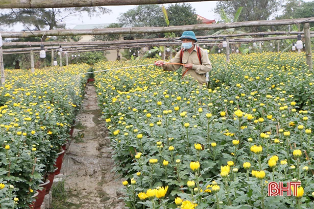 Nông dân làng ven đô TP Hà Tĩnh “đưa xuân” xuống phố