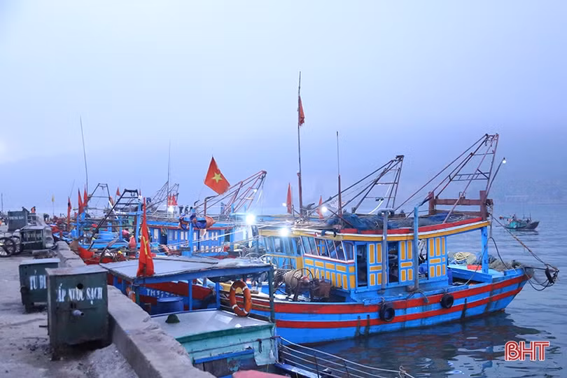 Những chuyến tàu cuối năm cập cảng Cửa Sót đầy ắp hải sản