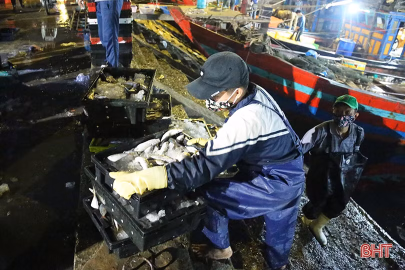 Những chuyến tàu cuối năm cập cảng Cửa Sót đầy ắp hải sản