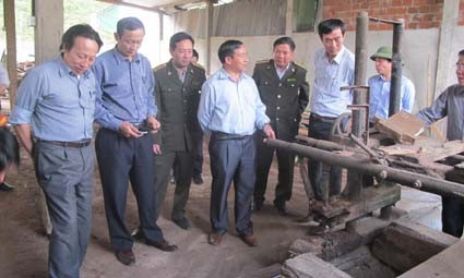 Phó Chủ tịch UBND tỉnh kiểm tra một cơ sở chế biến gỗ tự tháo dỡ tại Vũ Quang