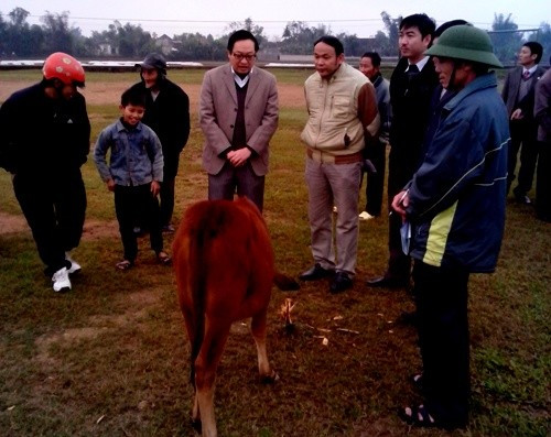 Vingroup trao bê, nghé cho hộ nghèo Can Lộc