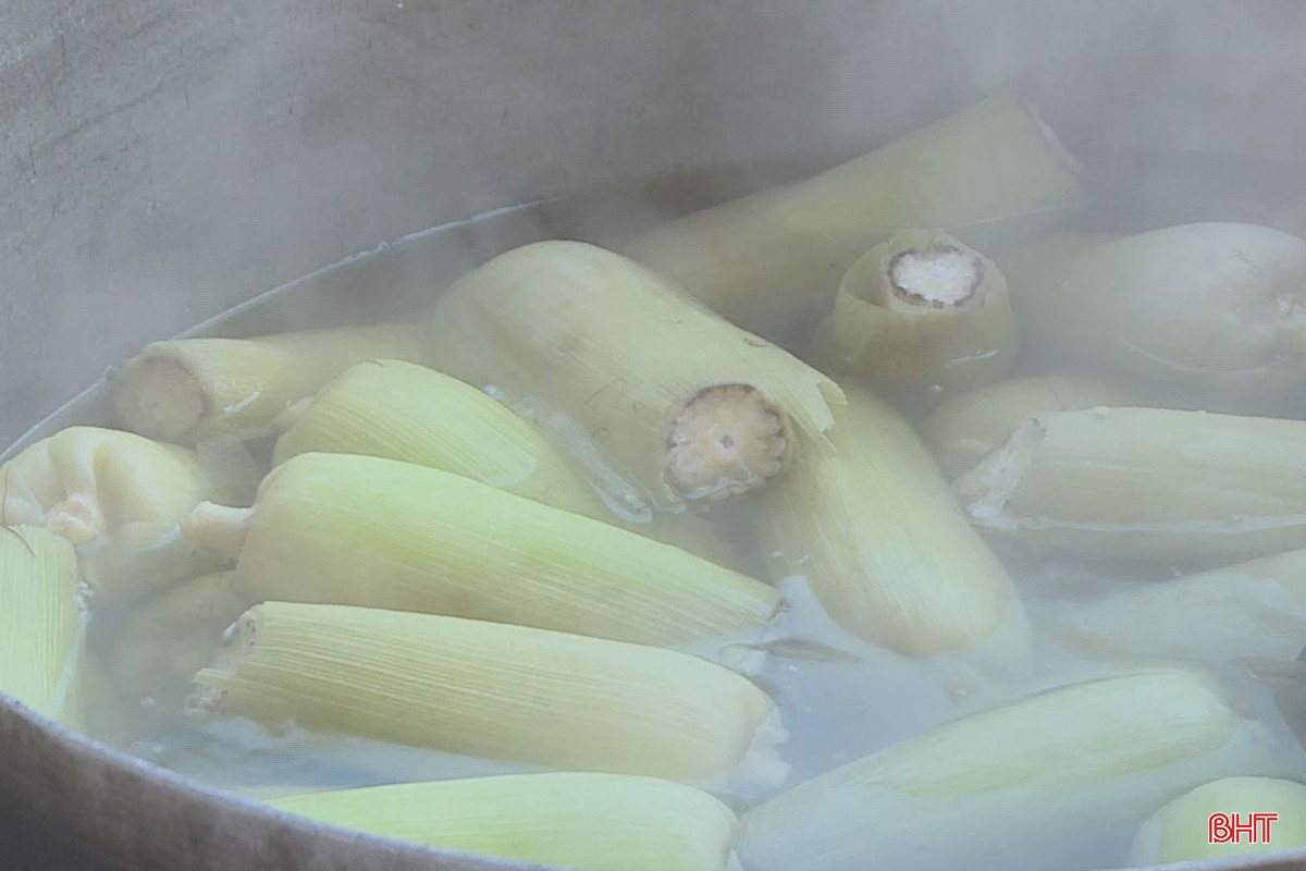 Hơi ngô luộc lan trong gió, ngọt lành, thơm dịu như giữ trọn vị của thổ nhưỡng và cái tình nồng hậu của người dân vùng Tây Nam Hà Tĩnh.