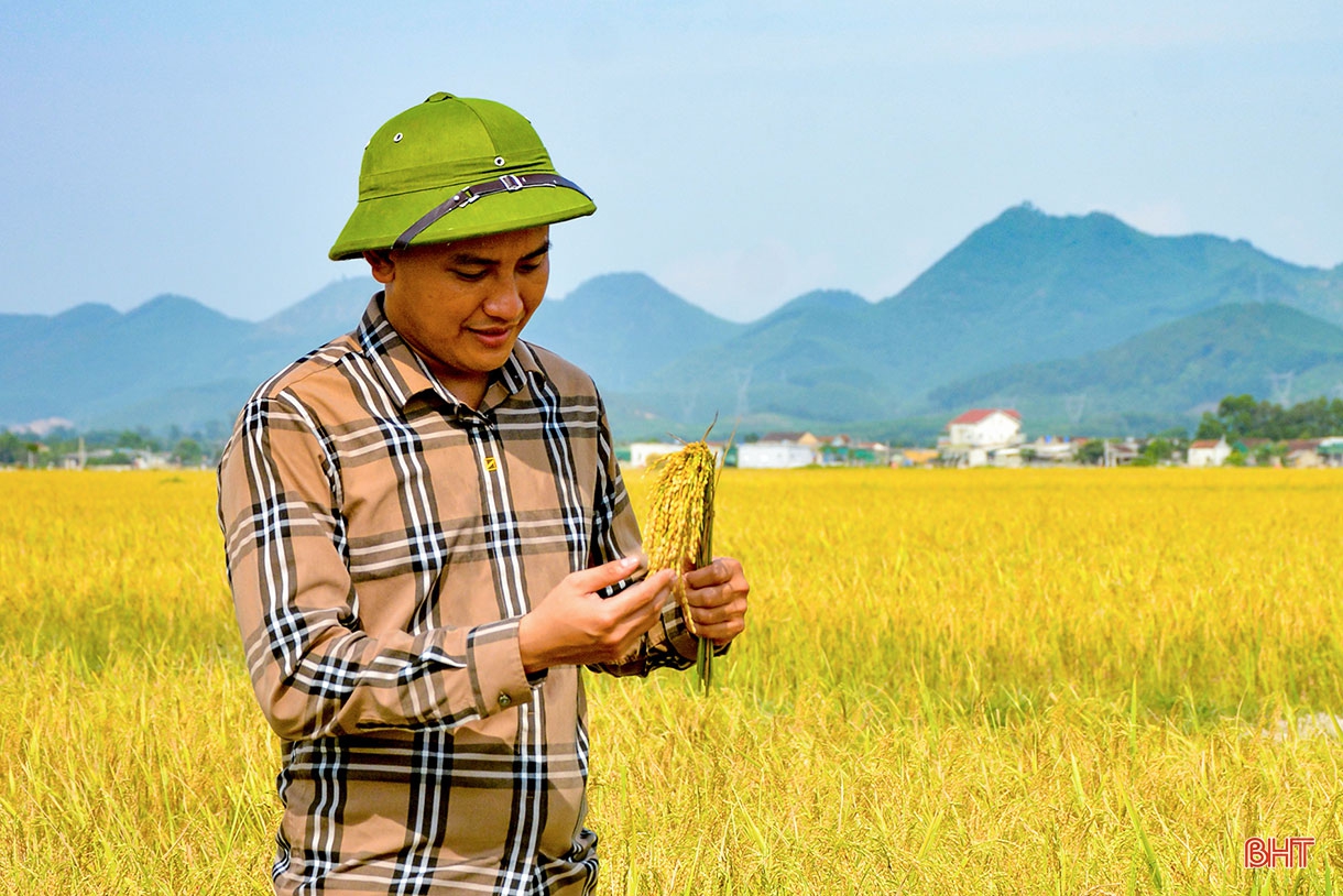 “Làng tôi sẽ là làng lúa, làng hoa”