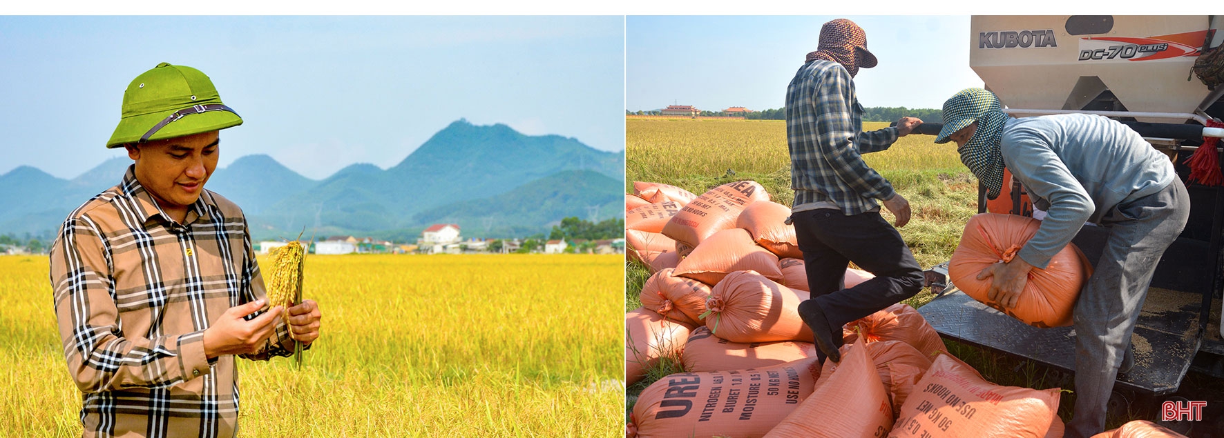 “Làng tôi sẽ là làng lúa, làng hoa”