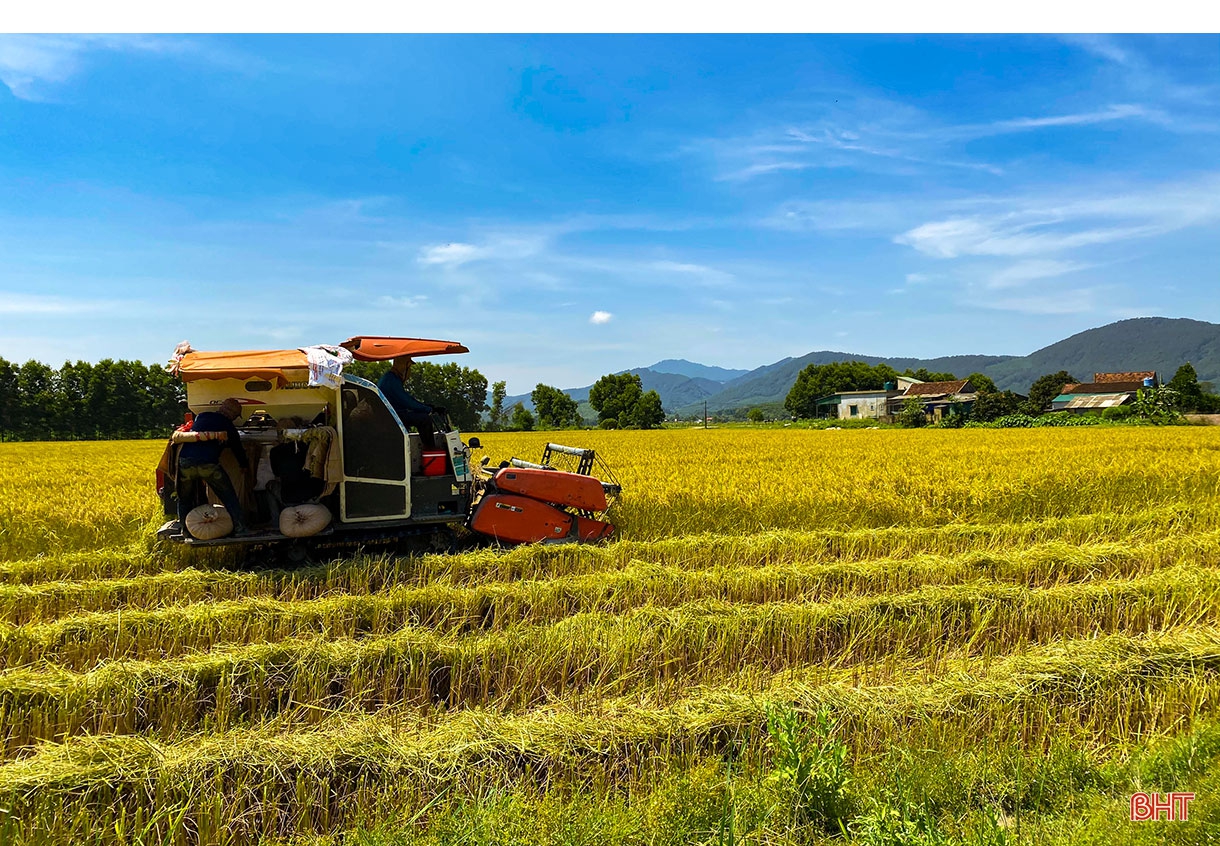 “Làng tôi sẽ là làng lúa, làng hoa”