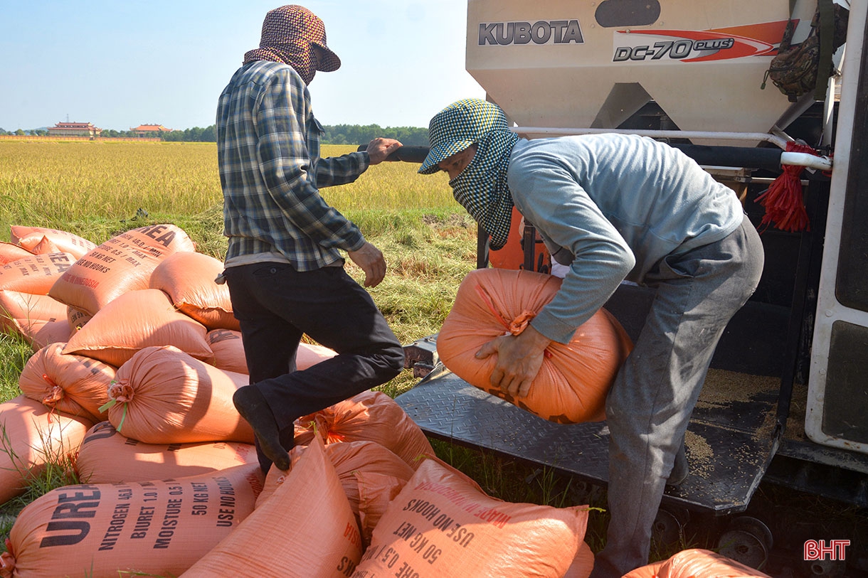 “Làng tôi sẽ là làng lúa, làng hoa”
