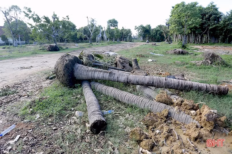 Cảnh hoang tàn của khu du lịch sinh thái tiền tỷ ở thị trấn Nghèn