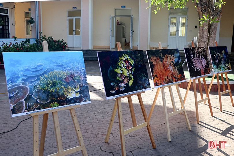 Trao tặng bộ sưu tập ảnh san hô cho các trường ven biển ở Hà Tĩnh