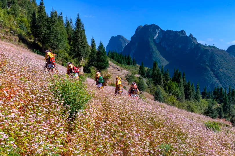 5 điểm đến mùa thu “lãng mạn nhất Việt Nam”