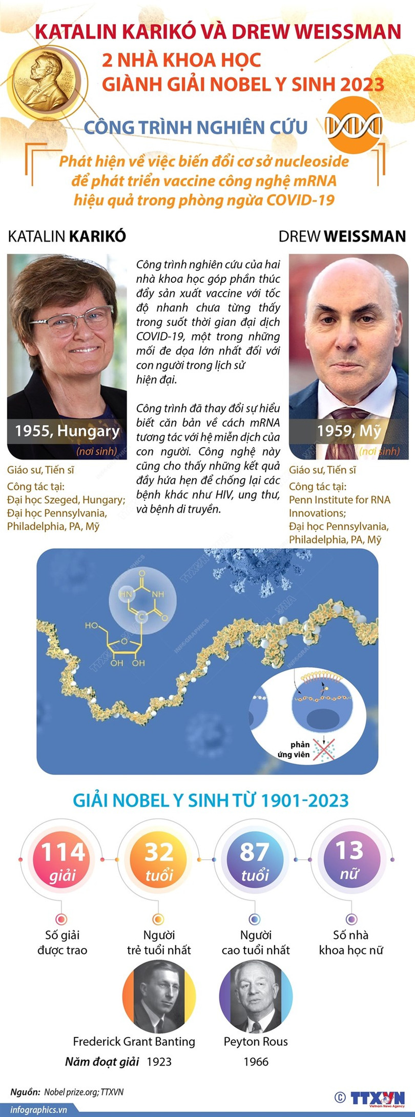 Giải Nobel Y sinh 2023 vinh danh hai nhà khoa học Hungary và Mỹ