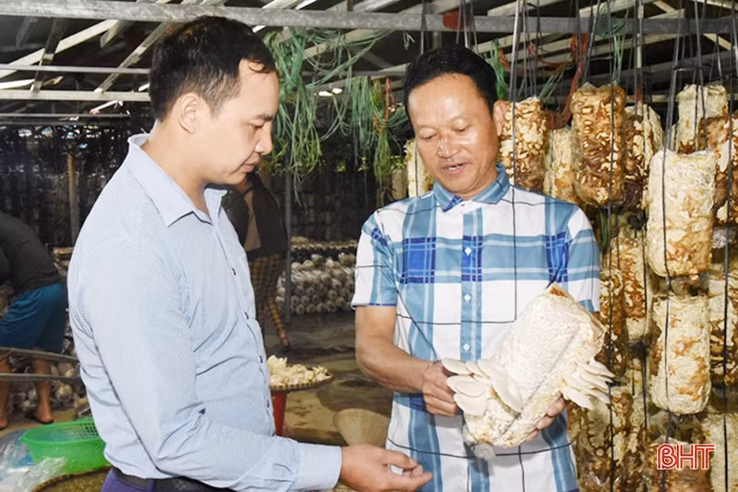 Lộc Hà đa dạng hóa cách thức sản xuất để giảm nghèo bền vững, cải thiện thu nhập