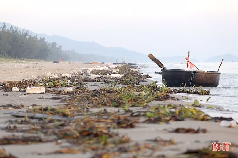 Sau đợt mưa lớn, rác thải “bủa vây” bãi biển Thạch Hải