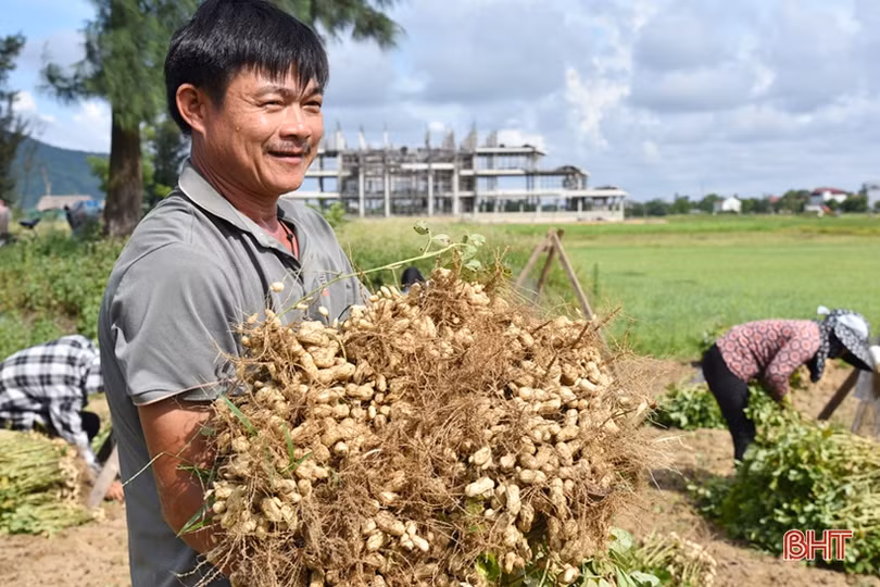 Lộc Hà đa dạng hóa cách thức sản xuất để giảm nghèo bền vững, cải thiện thu nhập