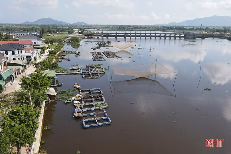 Lấy mẫu phân tích, sớm làm rõ nguyên nhân cá chết trên sông Nghèn