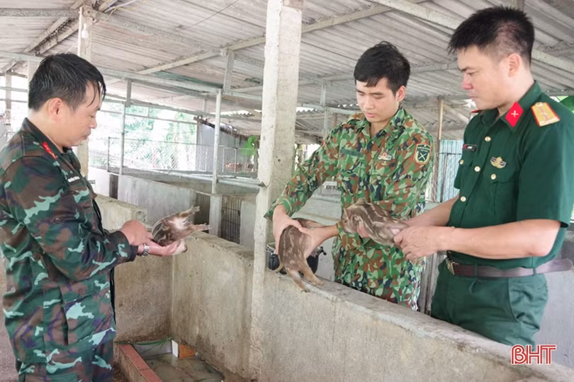 Cải thiện bữa cơm bộ đội, xây dựng cảnh quan đơn vị sạch - đẹp