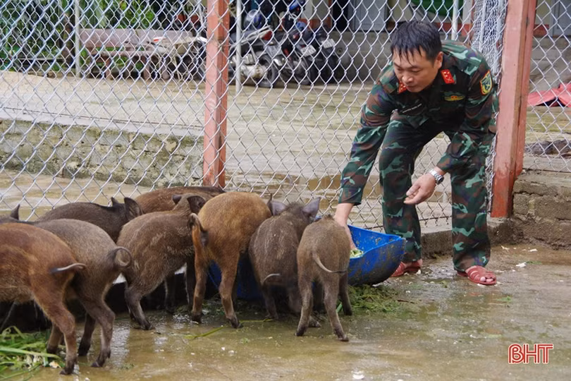 Cải thiện bữa cơm bộ đội, xây dựng cảnh quan đơn vị sạch - đẹp