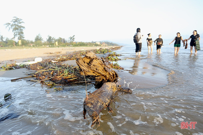 Sau đợt mưa lớn, rác thải “bủa vây” bãi biển Thạch Hải