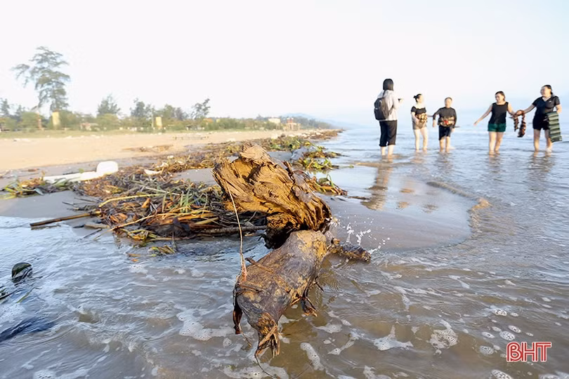 Sau đợt mưa lớn, rác thải “bủa vây” bãi biển Thạch Hải