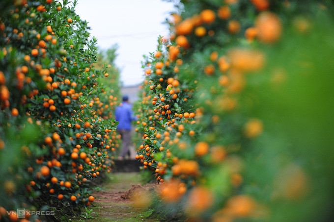 Nghỉ Tết Dương lịch 3 ngày