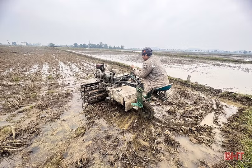 Nông dân Hà Tĩnh chống rét cho mạ, chuẩn bị xuống giống trà chính vụ lúa xuân