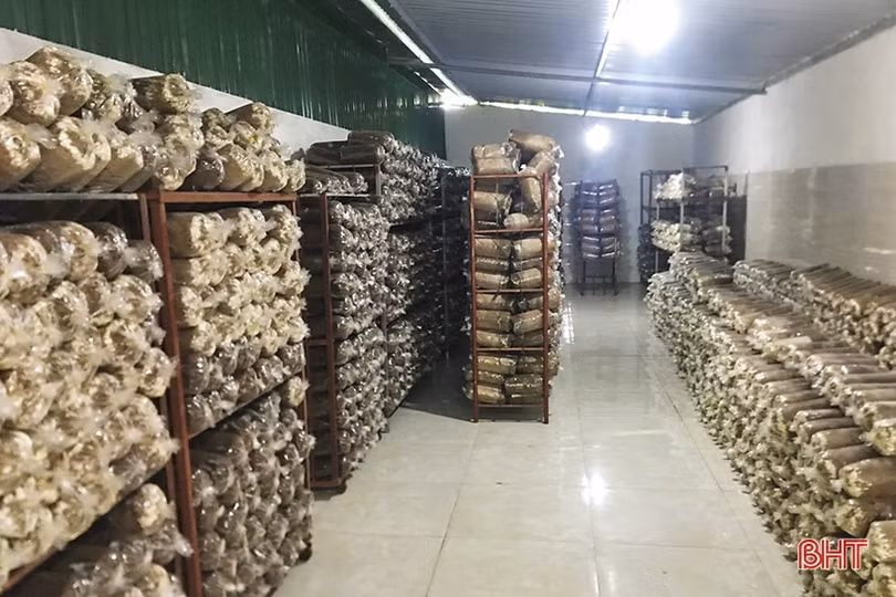 Hỗ trợ phụ nữ Hà Tĩnh khởi nghiệp, phát triển kinh tế