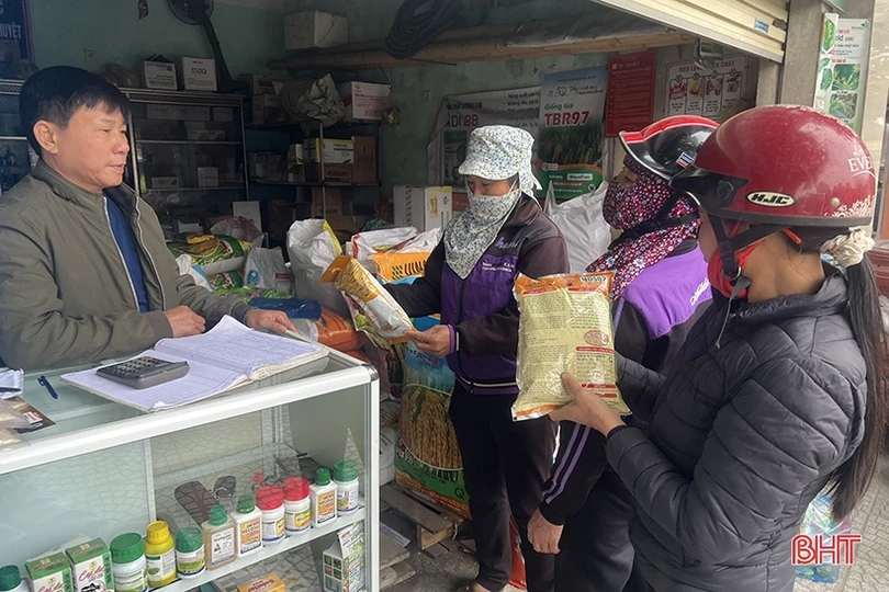 Nông dân Hà Tĩnh chống rét cho mạ, chuẩn bị xuống giống trà chính vụ lúa xuân