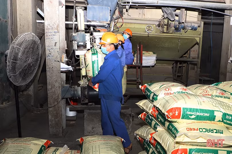 Doanh nghiệp Hà Tĩnh thi đua sản xuất, kinh doanh trong năm mới 