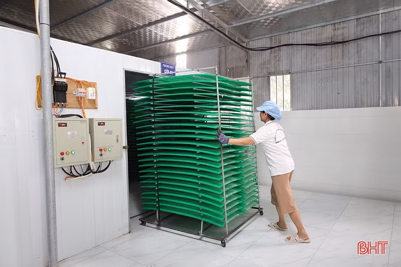 Bánh đa nem vùng ven đô vươn tầm OCOP