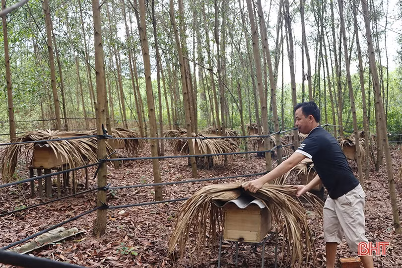 Giảm nghèo ở Cẩm Xuyên: Trao “cần câu” thay xâu cá”