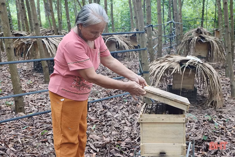Giảm nghèo ở Cẩm Xuyên: Trao “cần câu” thay xâu cá”