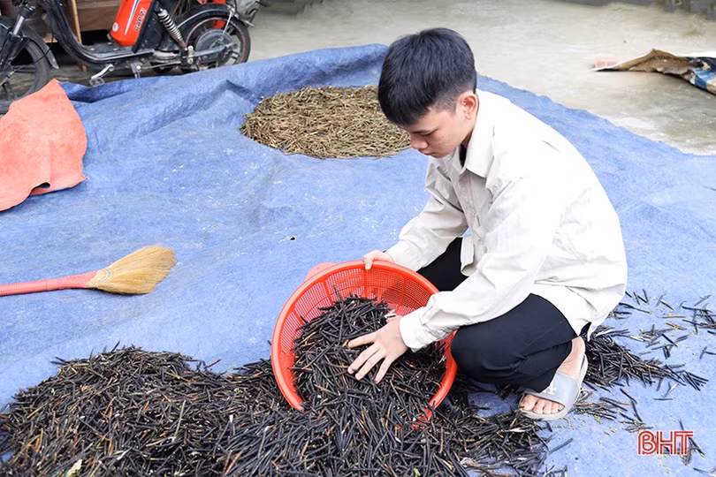 Kịp thời định hướng, hỗ trợ, giúp nam sinh nghèo thực hiện ước mơ vào đại học