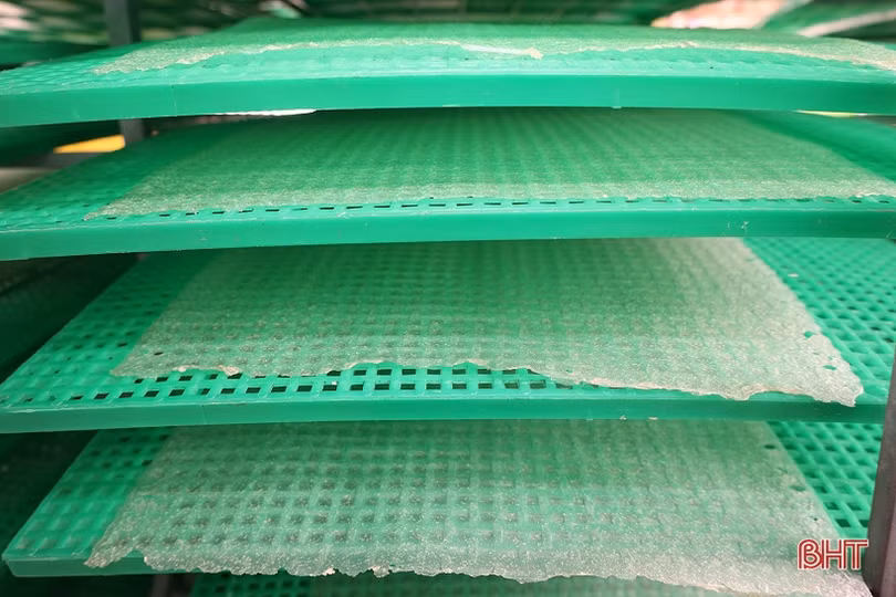 Bánh đa nem vùng ven đô vươn tầm OCOP