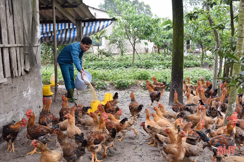 Hà Tĩnh xây dựng lực lượng dân quân, tự vệ, dự bị động viên vững mạnh