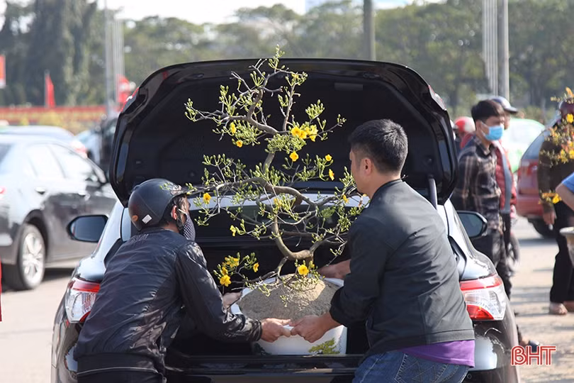 Cây cảnh chiều 30 tết tại Hà Tĩnh: Đào “sạch trơn”, quất bán chạy, mai ế ẩm