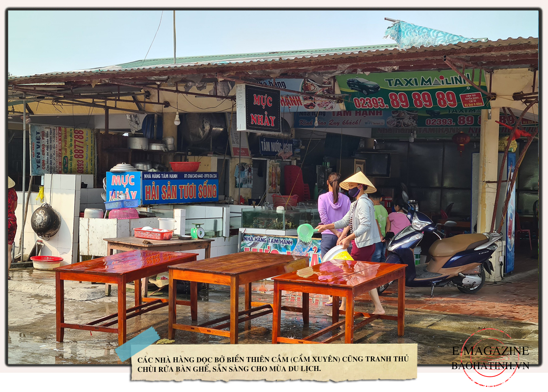Nôn nao nhớ biển…
