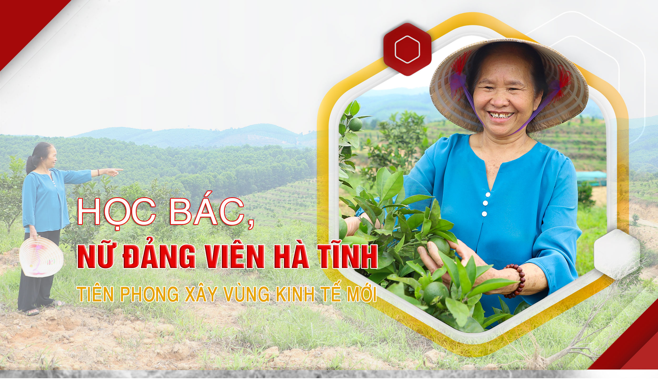 Học Bác, nữ đảng viên tiên phong xây vùng kinh tế mới