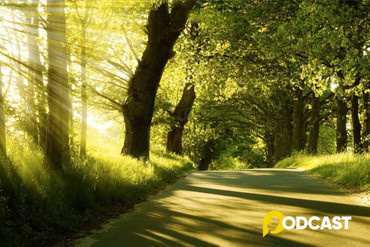 Podcast tản văn: Gom nắng mùa đông