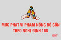 [Motion Graphics] Chi tiết mức phạt vi phạm nồng độ cồn theo Nghị định 168