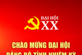 Chào mừng Đại hội Đảng bộ tỉnh nhiệm kỳ 2025-2030