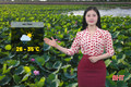 Dự báo thời tiết Hà Tĩnh ngày 20/5: Chiều có mưa rào vài nơi