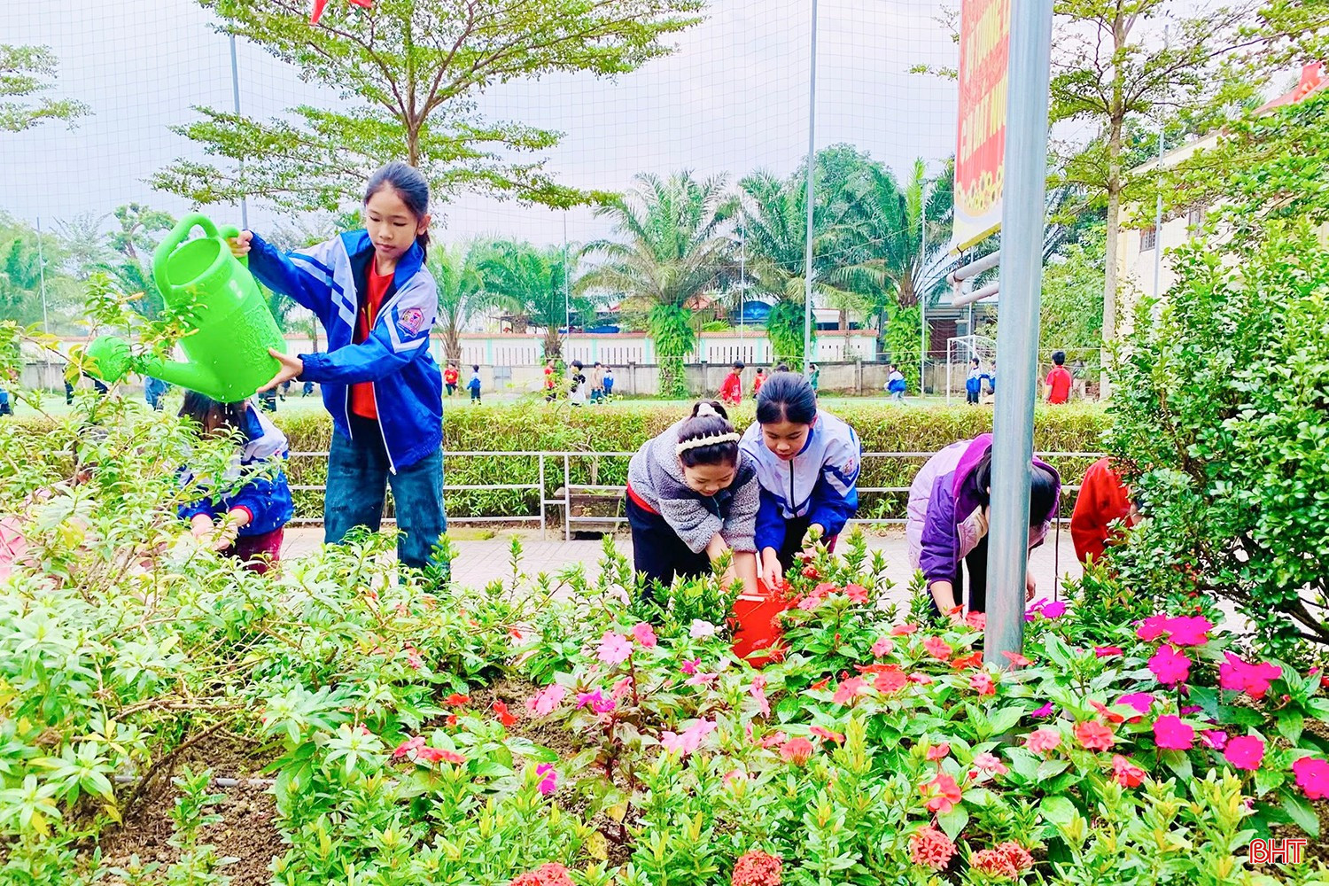 bqbht_br_hoc-sinh-truong-tieu-hoc-quang-diem-tham-gia-cham-soc-vuon-hoa-mang-non.jpg