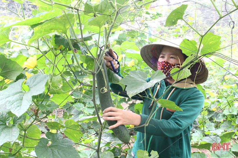 Người dân Hà Tĩnh nỗ lực duy trì lao động sản xuất 