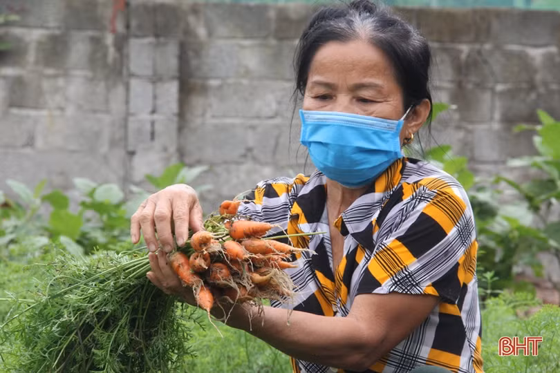 Ngắm vườn mẫu sum suê rau quả vào mùa thu hoạch trên những miền nông thôn mới Hà Tĩnh