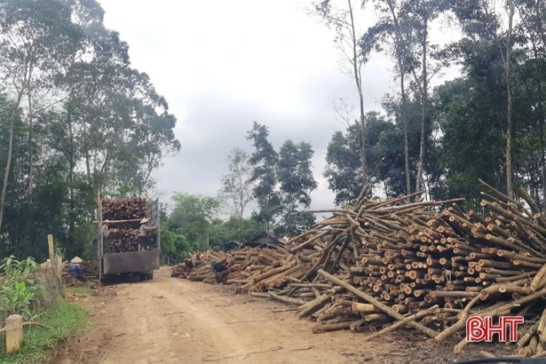 Nhếch nhác trên tuyến đường vào trung tâm hành chính xã miền núi Hà Tĩnh