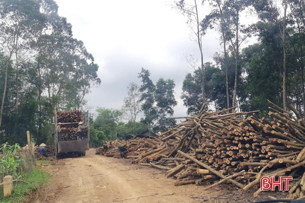 Nhếch nhác trên tuyến đường vào trung tâm hành chính xã miền núi Hà Tĩnh