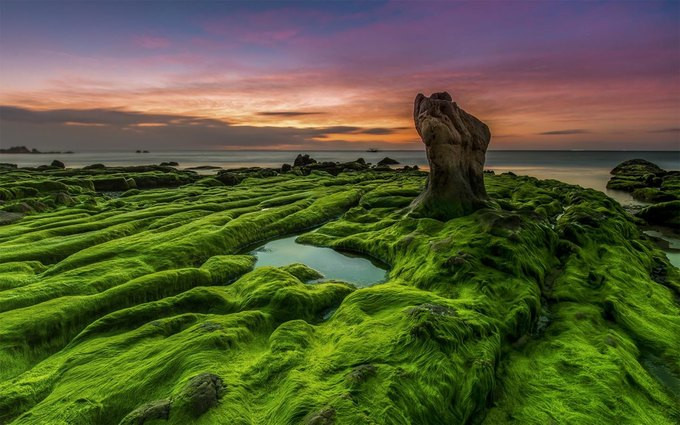 Việt Nam đoạt 2 giải vàng ảnh quốc tế